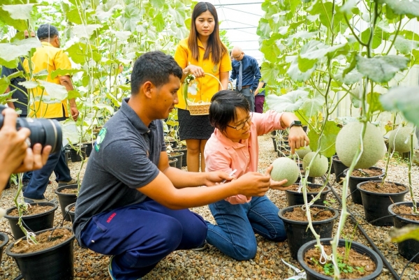 SMART FARM @PSU